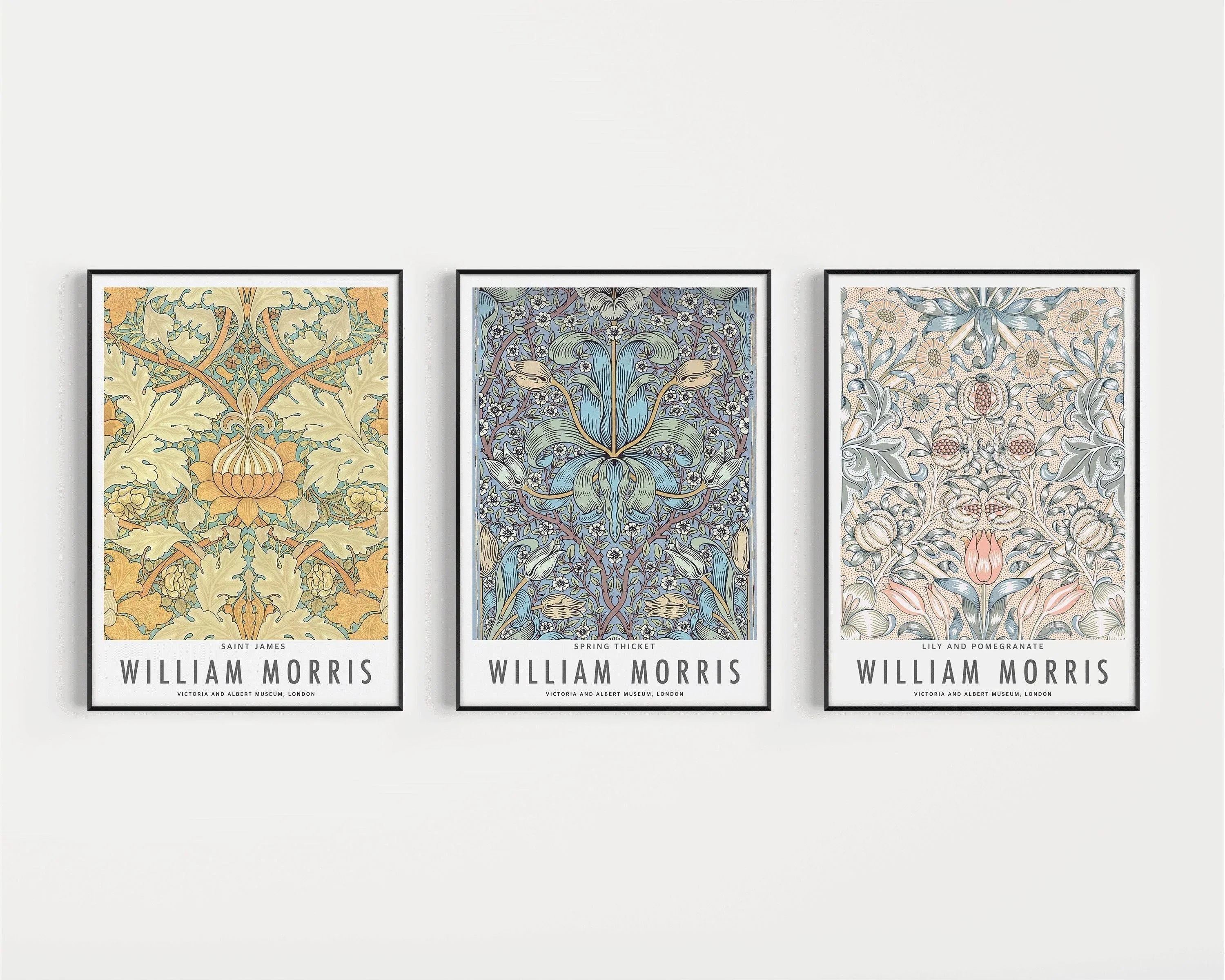 STATEMENT TRIO William Morris | Orange Blue Peach | Vintage Botanical Art Available framed or unframed - 9ArtPrints