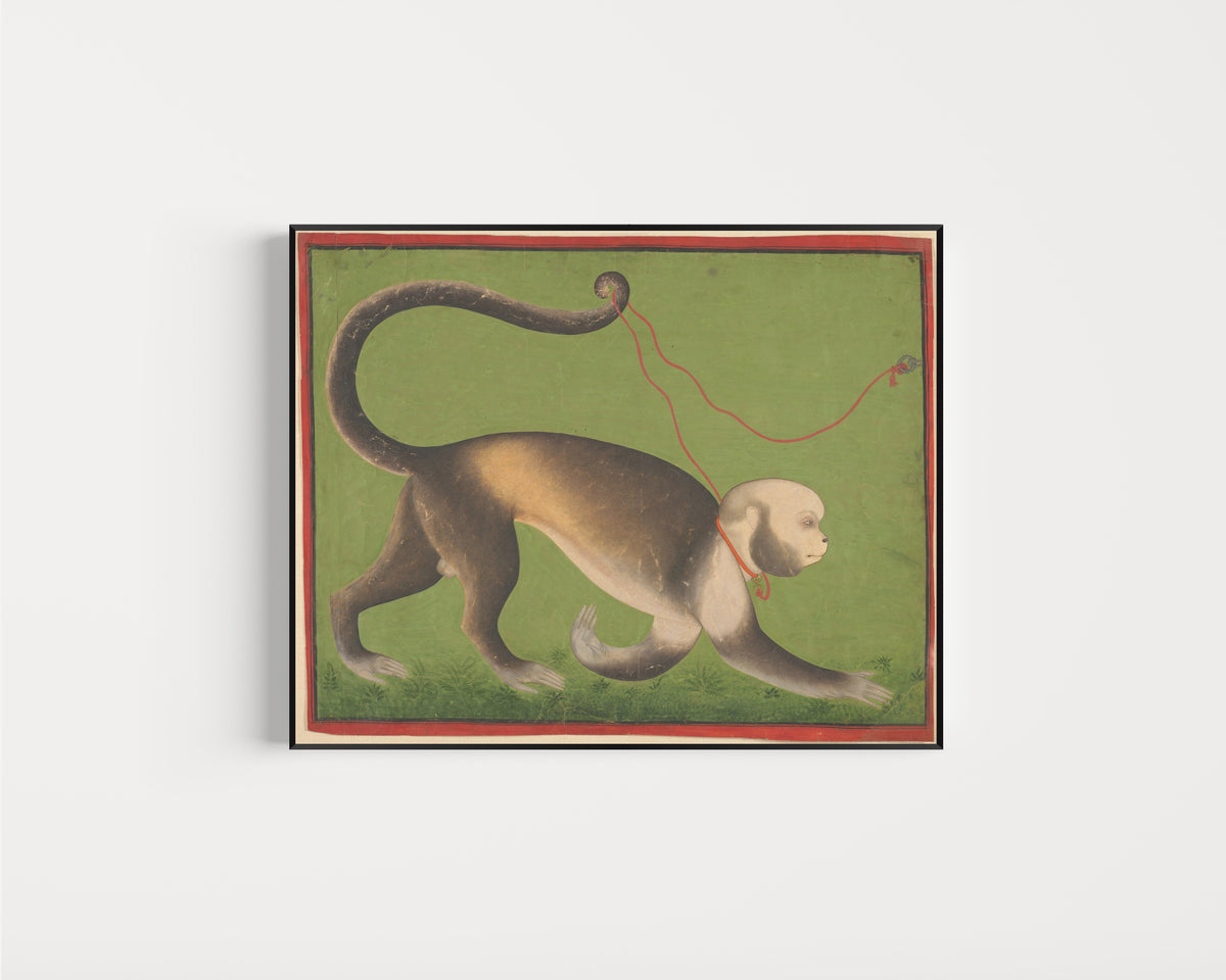 Framed art print of A Monumental Portrait of a Monkey by Stipple Master (attributed), in a slim black frame on a plain white wall