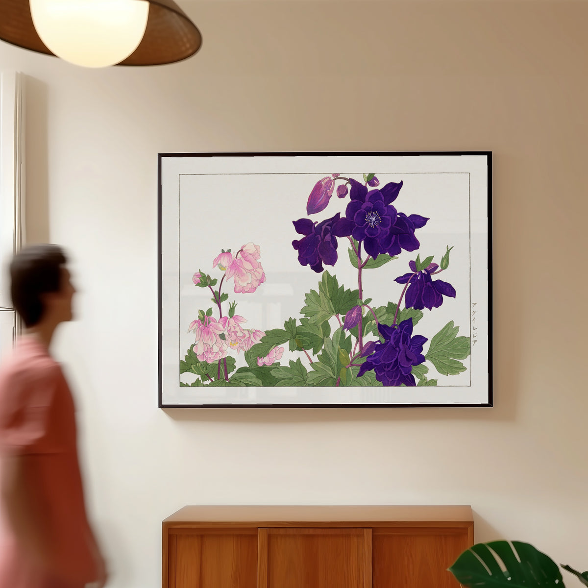 Framed art print of Aquilegia flower by Tanigami Kōnan, in a slim black frame on a warm wall in a sunlit room