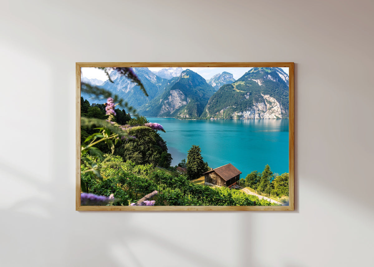 Framed art print of Tellsplatte (Switzerland) by Daniela Faust, in a light wood frame on a sunlit white wall