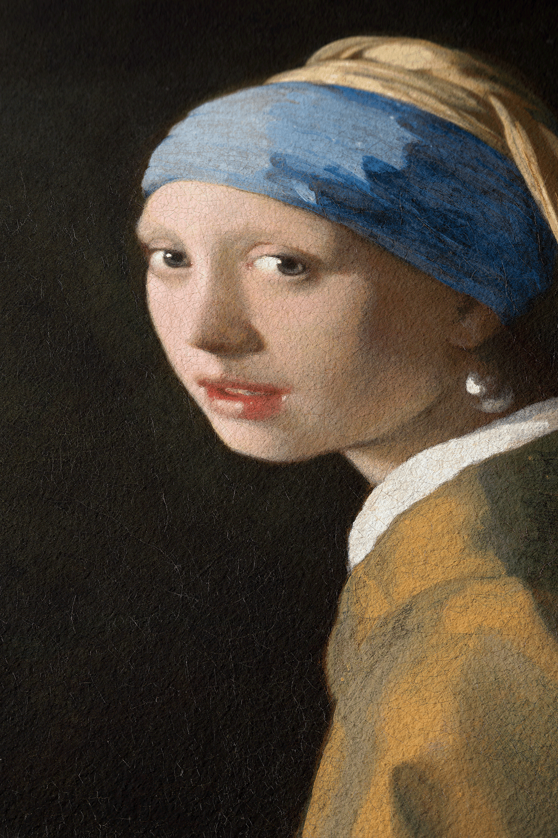 The Girl with the Pearl Earring - 9ArtPrints