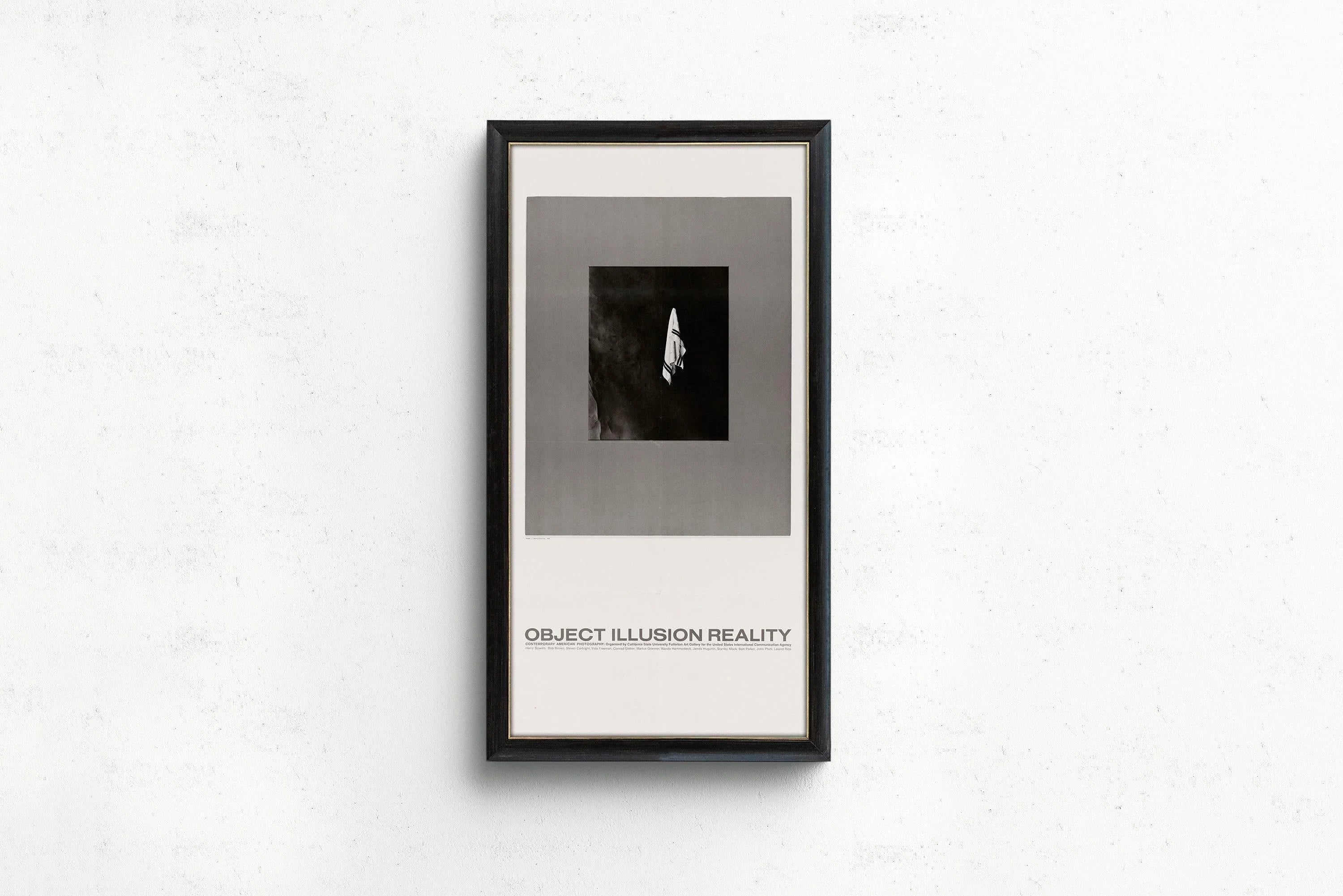 USIA Poster: Object Illusion Reality - Midcentury Modern Giclee Print (2x1) - 9ArtPrints