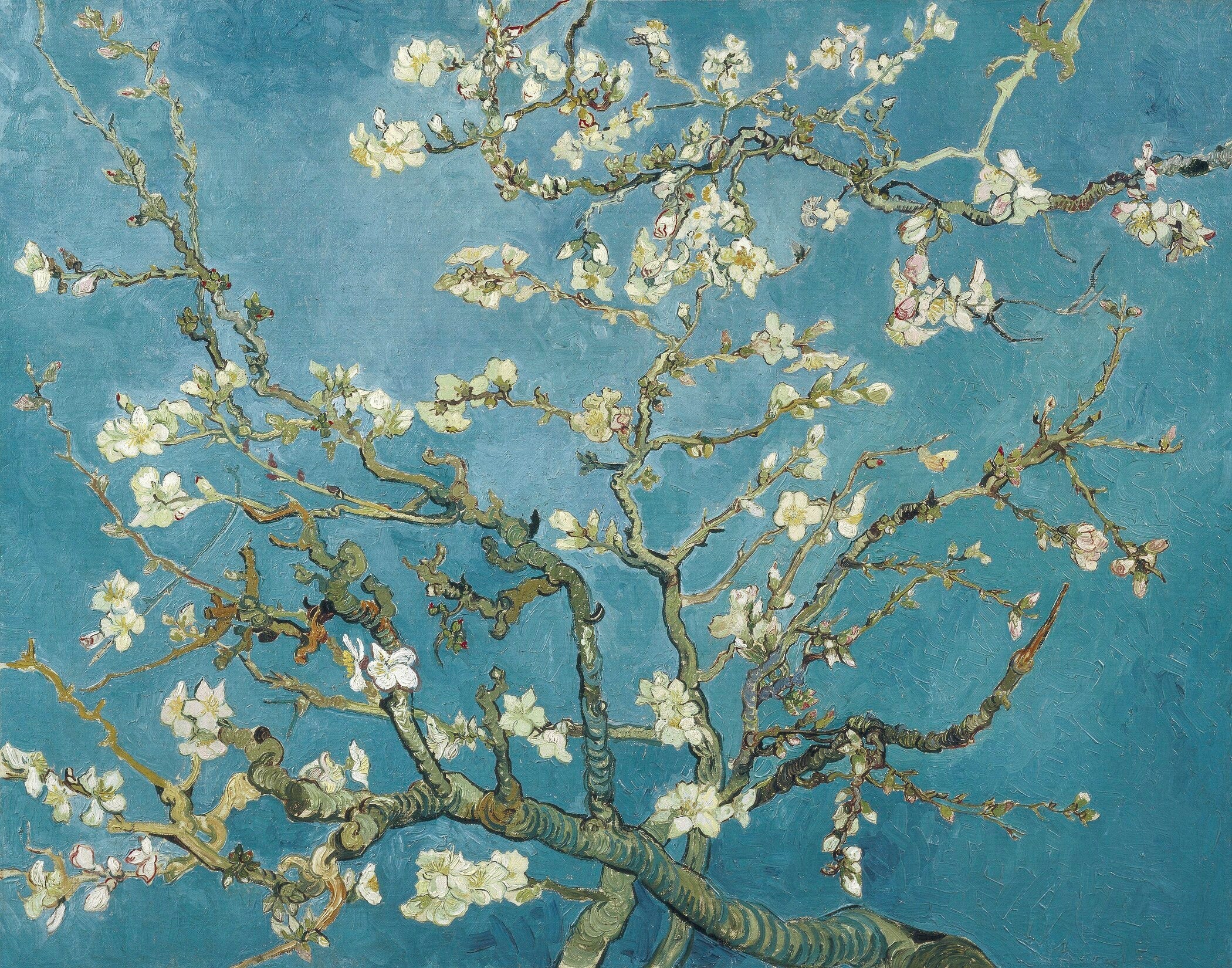 Vincent Van Gogh — Almond Blossoms | Fine Art Print - 9ArtPrints