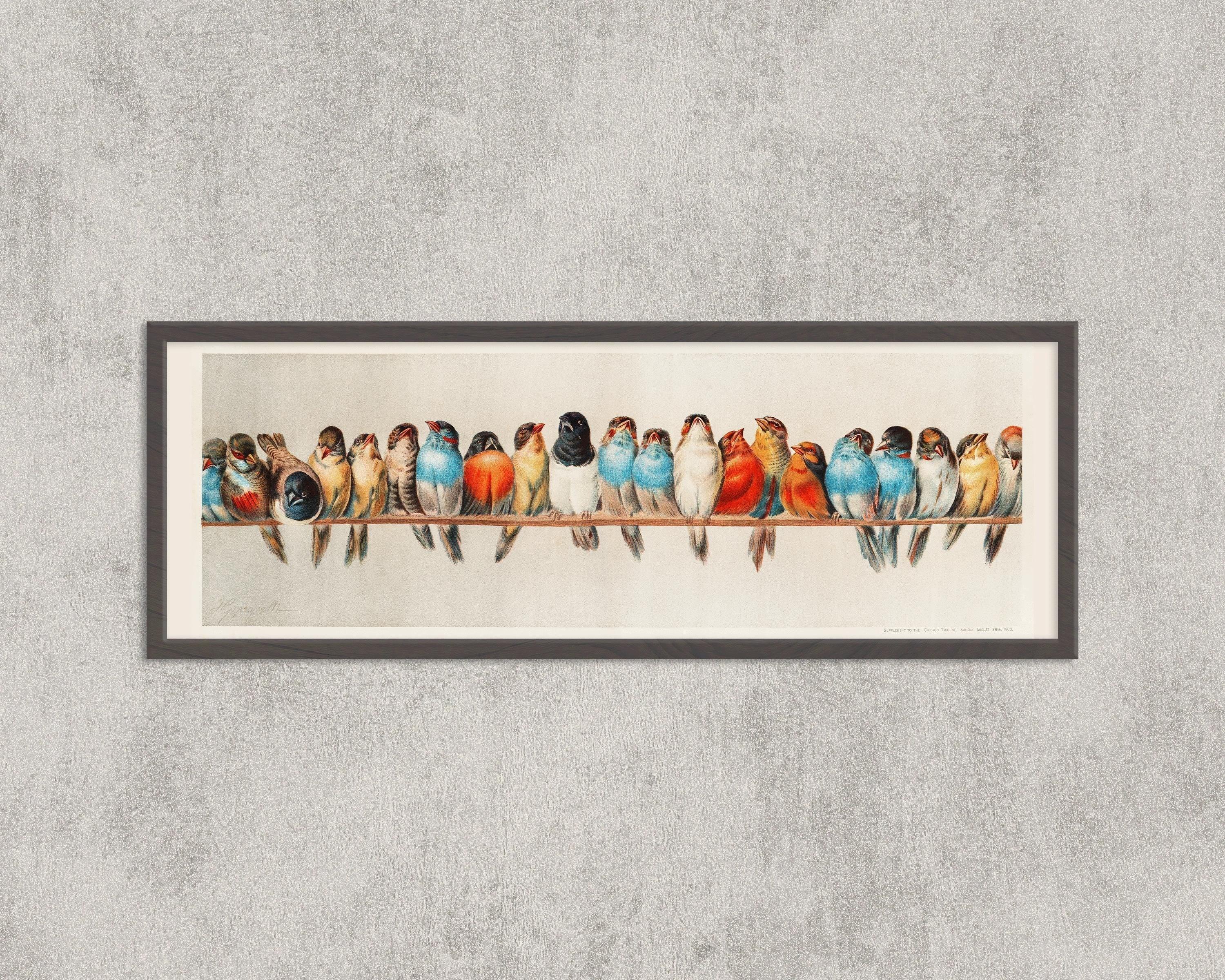 Vintage Birds on a Wire Illustration | Spectacular Lineup of Super Wide Vintage Birds | Colorful Artwork (available framed or unframed) 3x1 - 9ArtPrints