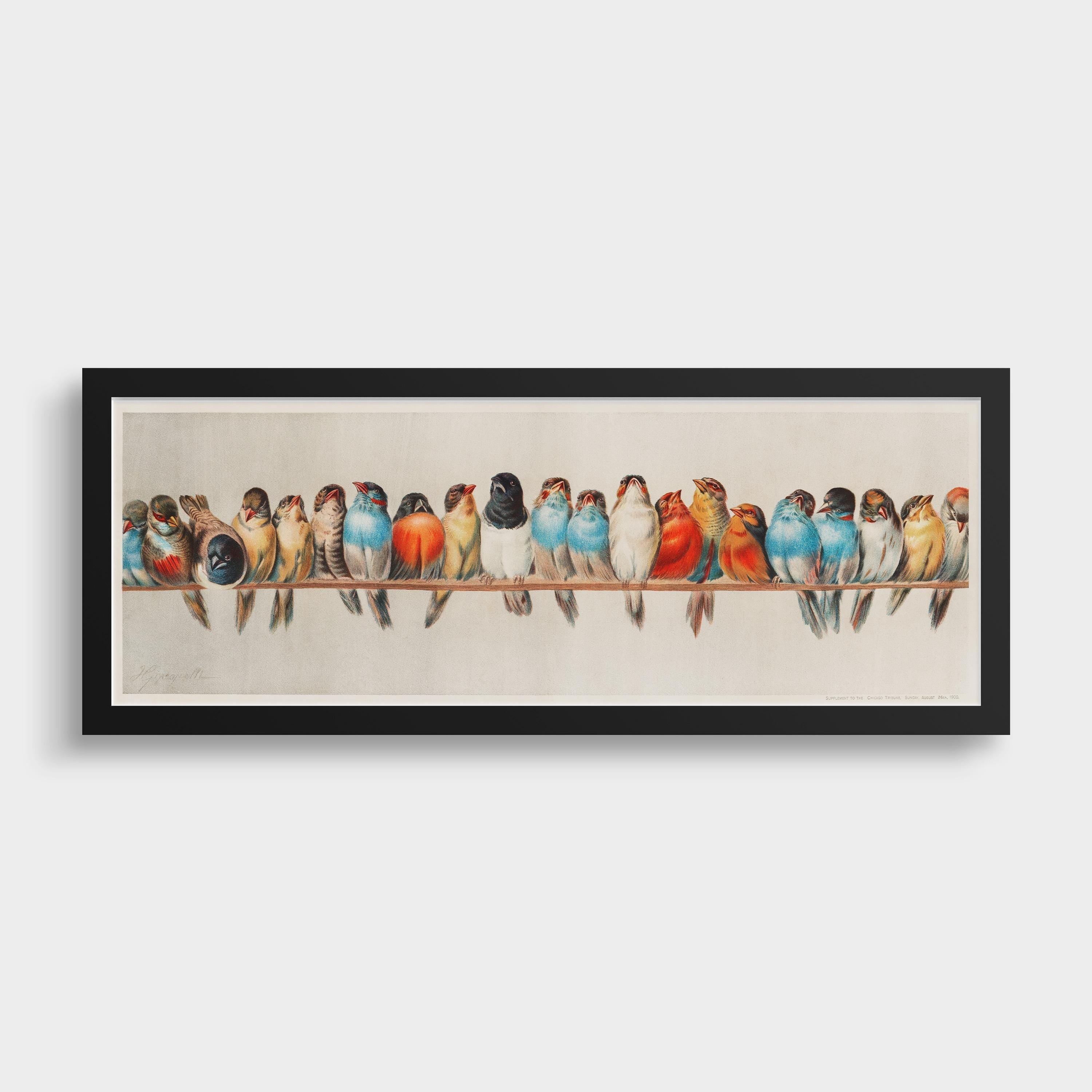 Vintage Birds on a Wire Illustration | Spectacular Lineup of Super Wide Vintage Birds | Colorful Artwork (available framed or unframed) 3x1 - 9ArtPrints