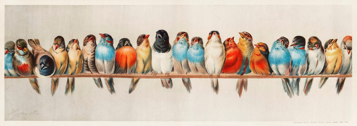Vintage Illustration — Birds on a Wire | Fine Art Print - 9ArtPrints