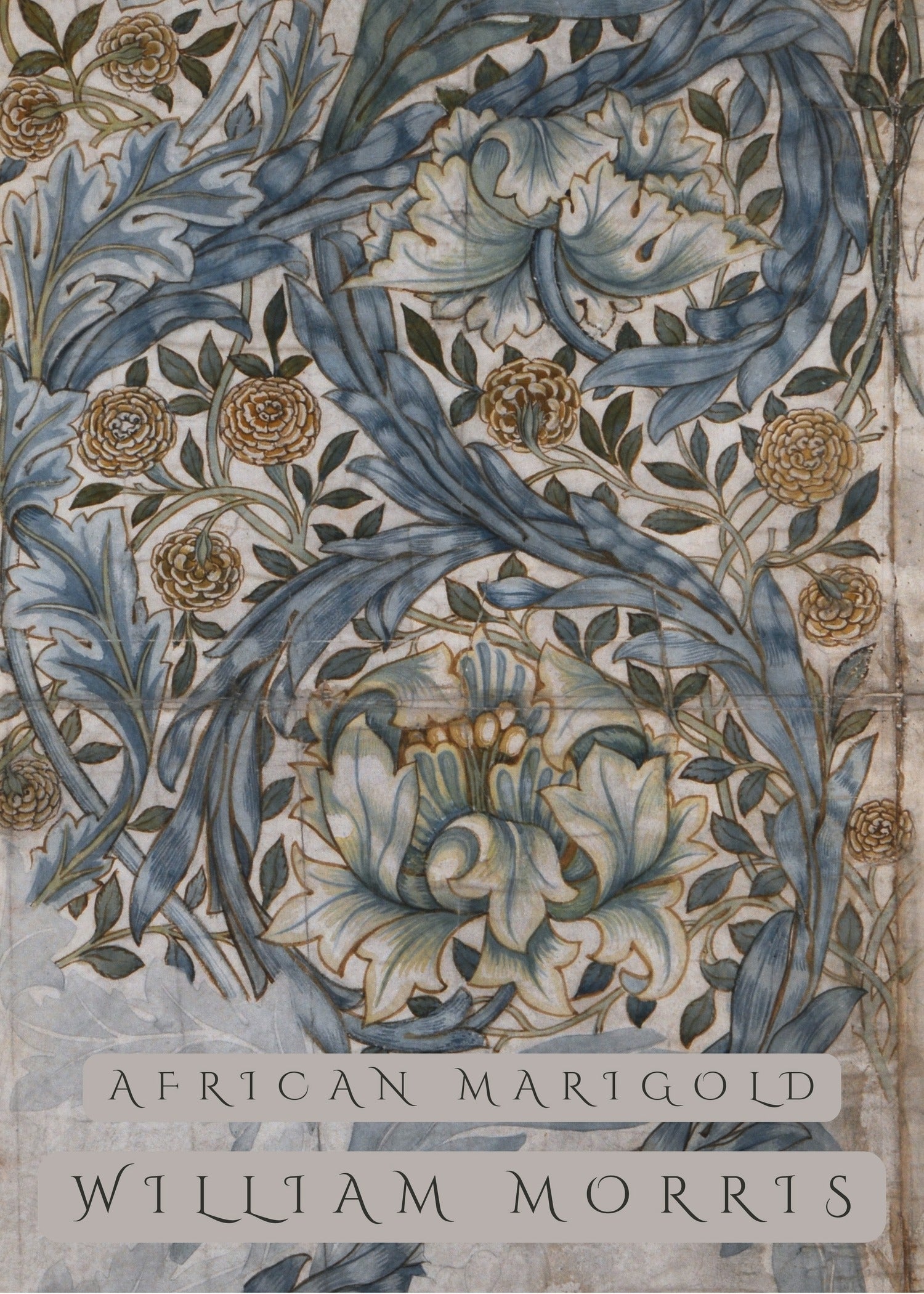 William Morris — African Marigold | Botanical Art Print - 9ArtPrints