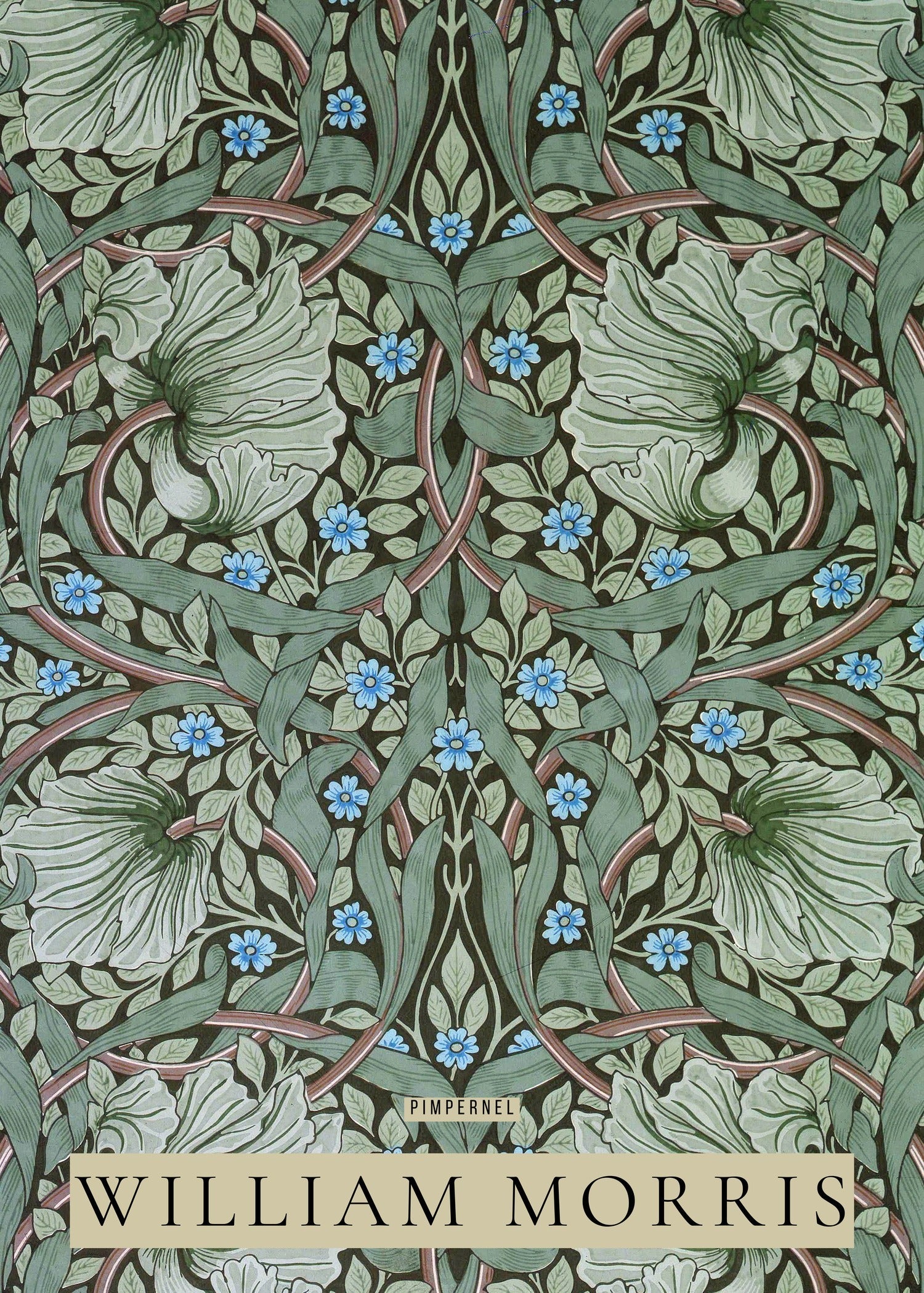 William Morris — Pimpernel | Botanical Art Print - 9ArtPrints