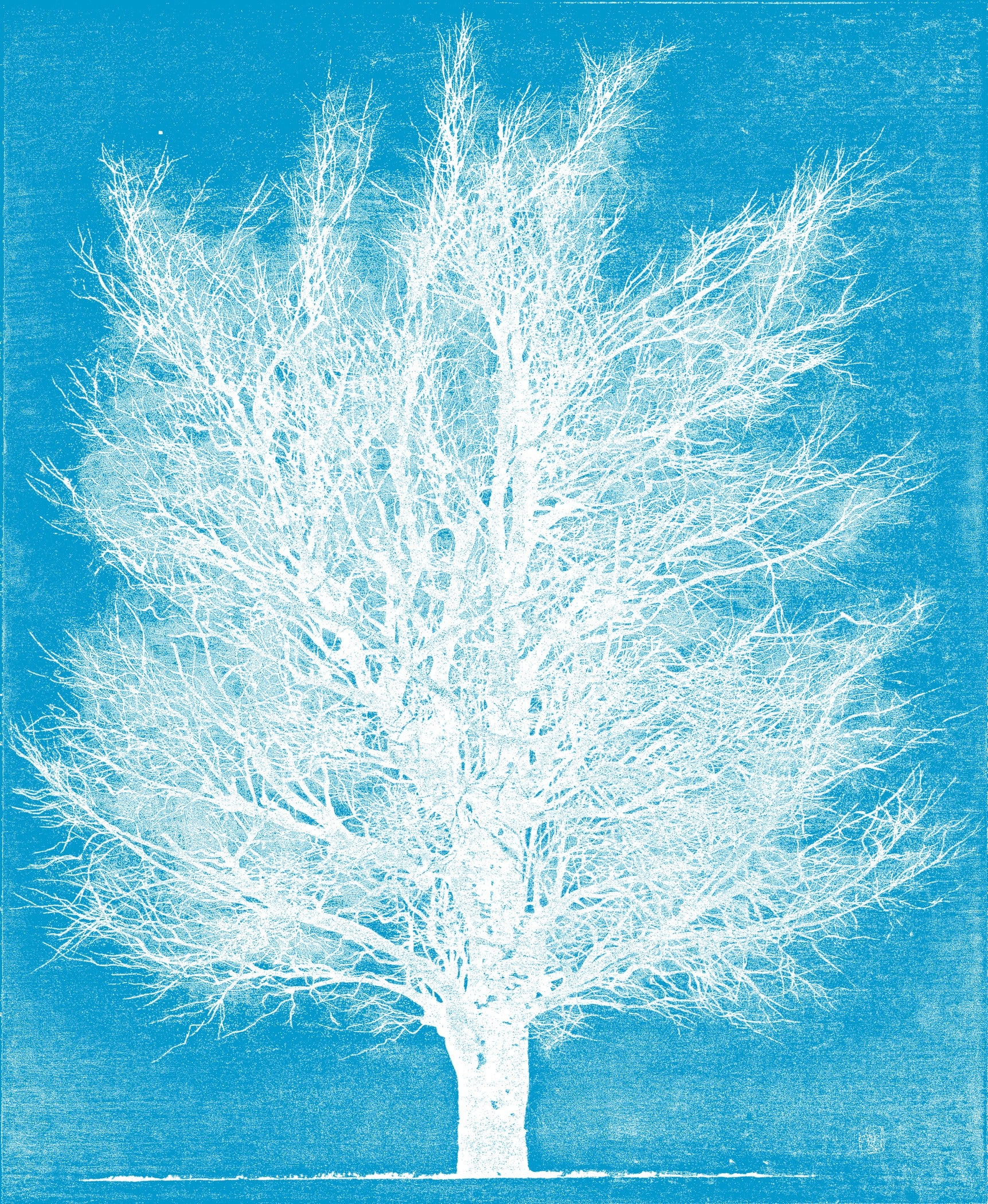 Joichi Hoshi — Ice Tree | Sosaku-hanga Print