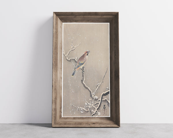 Ohara Koson — Waxwing on Snowy Plum | Japanese Bird & Flower Woodblock Print