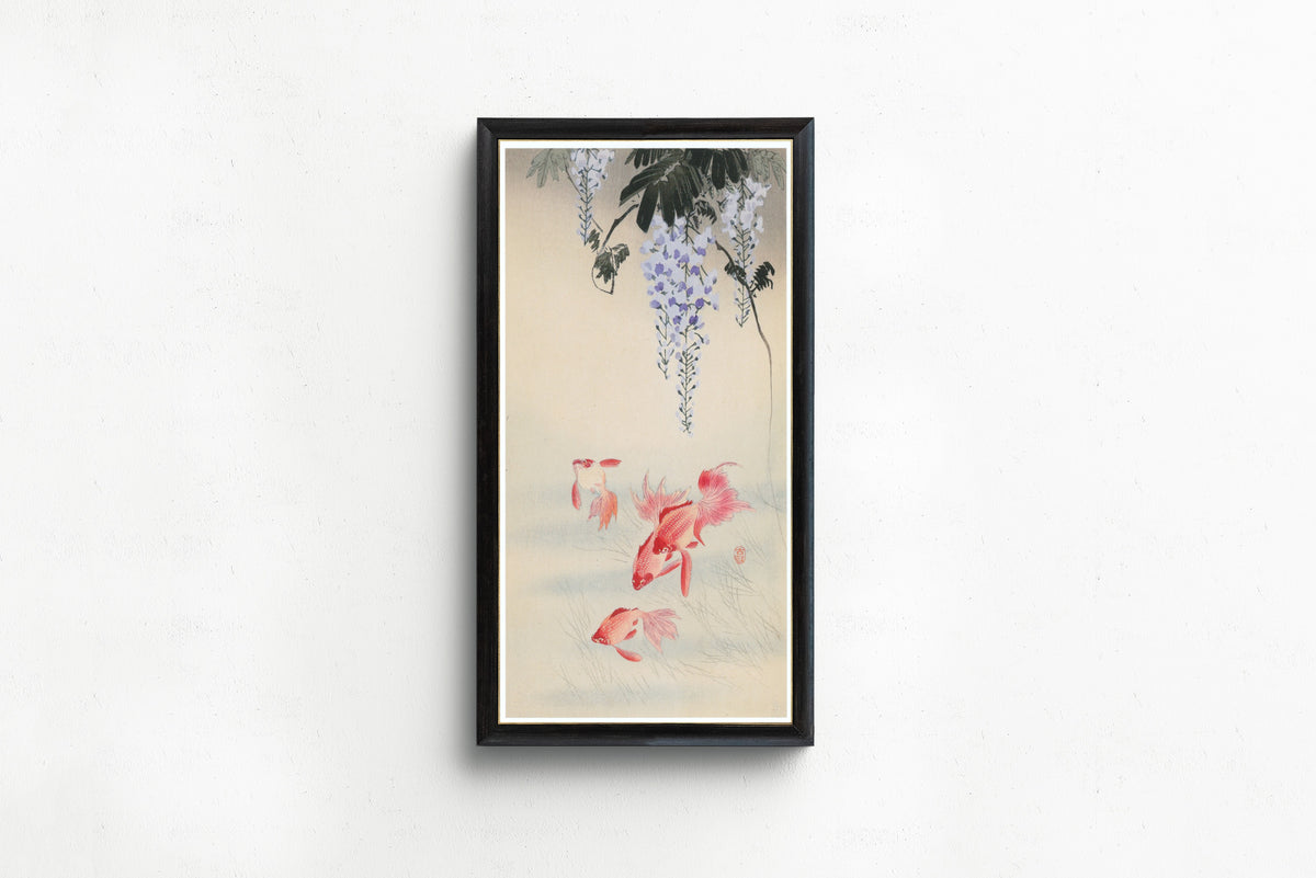Ohara Koson — Goldfish and Wisteria | Japanese Bird & Flower Woodblock Print