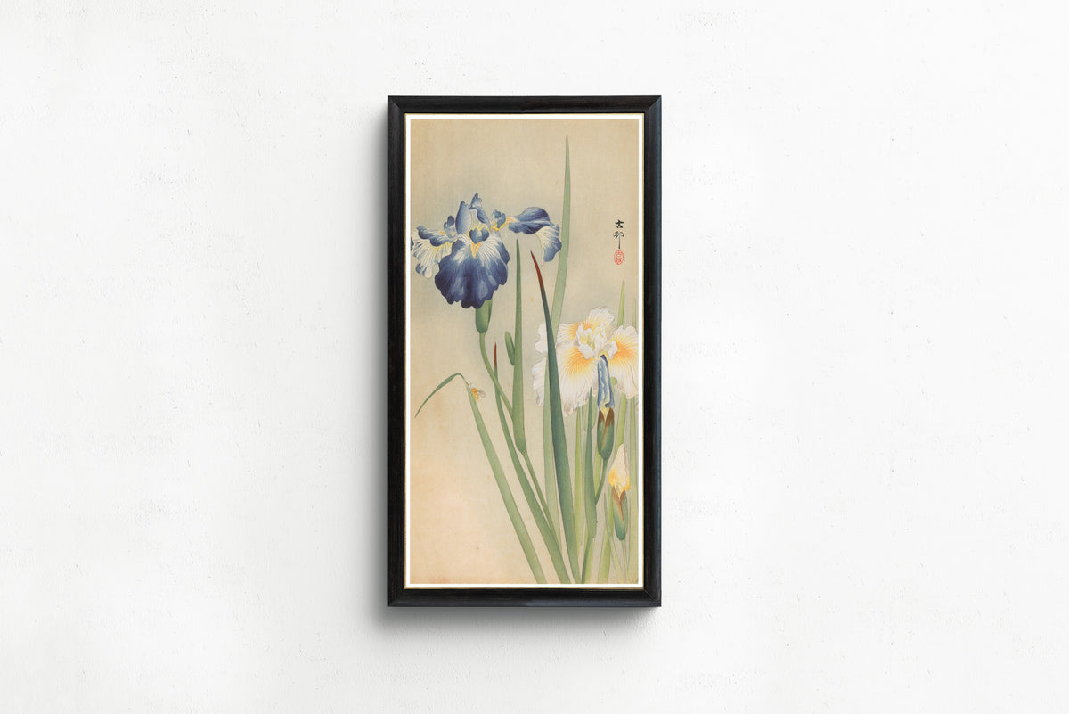 Ohara Koson — Iris and Bee | Japanese Bird & Flower Woodblock Print