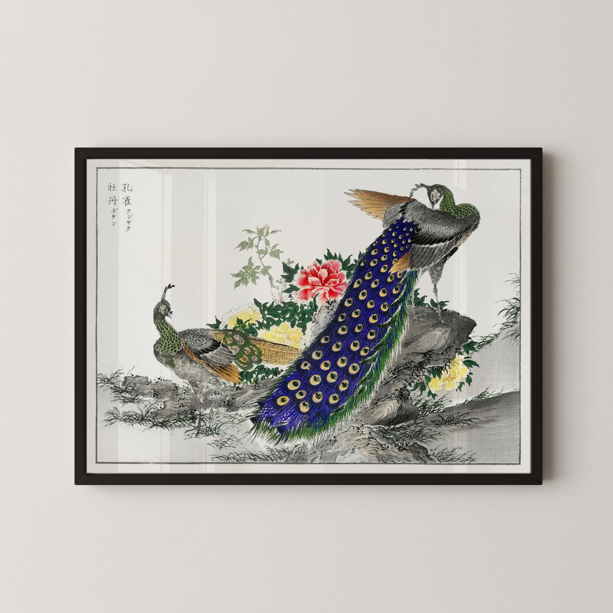 Numata Kashū — Peacock and Peony | Japanese Bird & Flower Woodblock Print