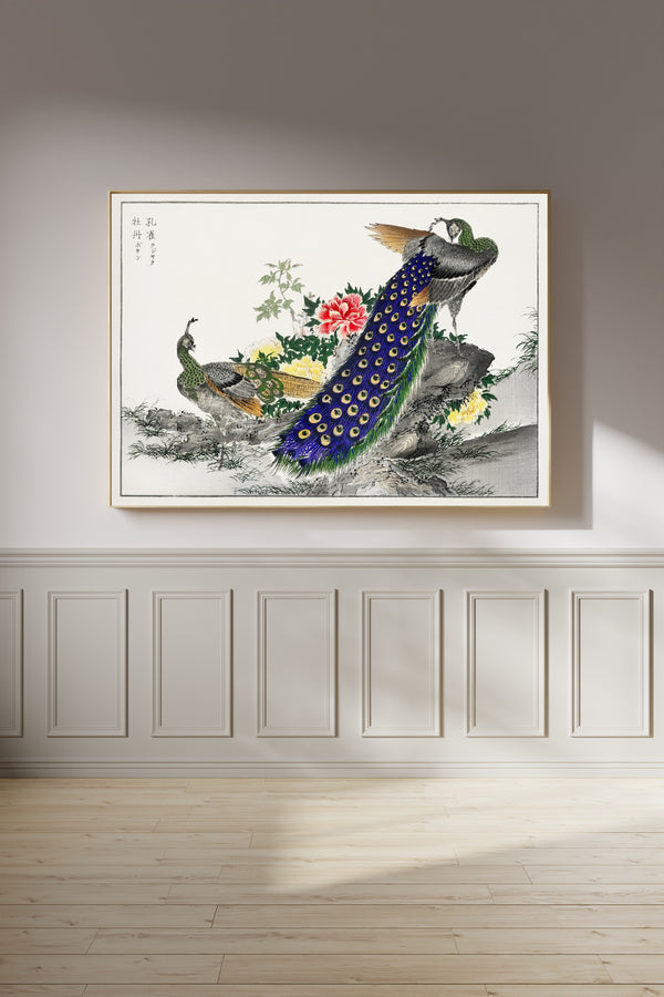 Numata Kashū — Peacock and Peony | Japanese Bird & Flower Woodblock Print