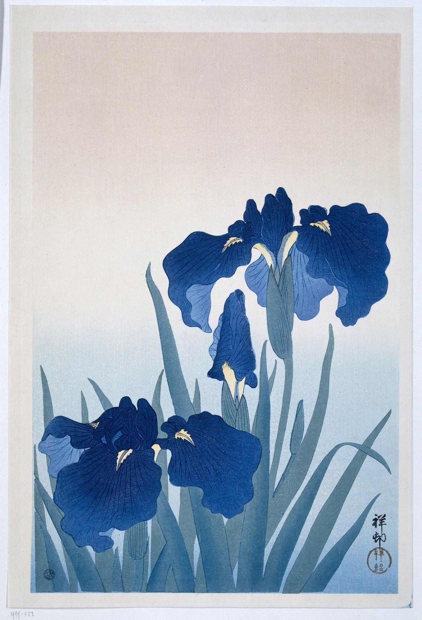 Ohara Koson — Irises in Blue | Shin Hanga Print