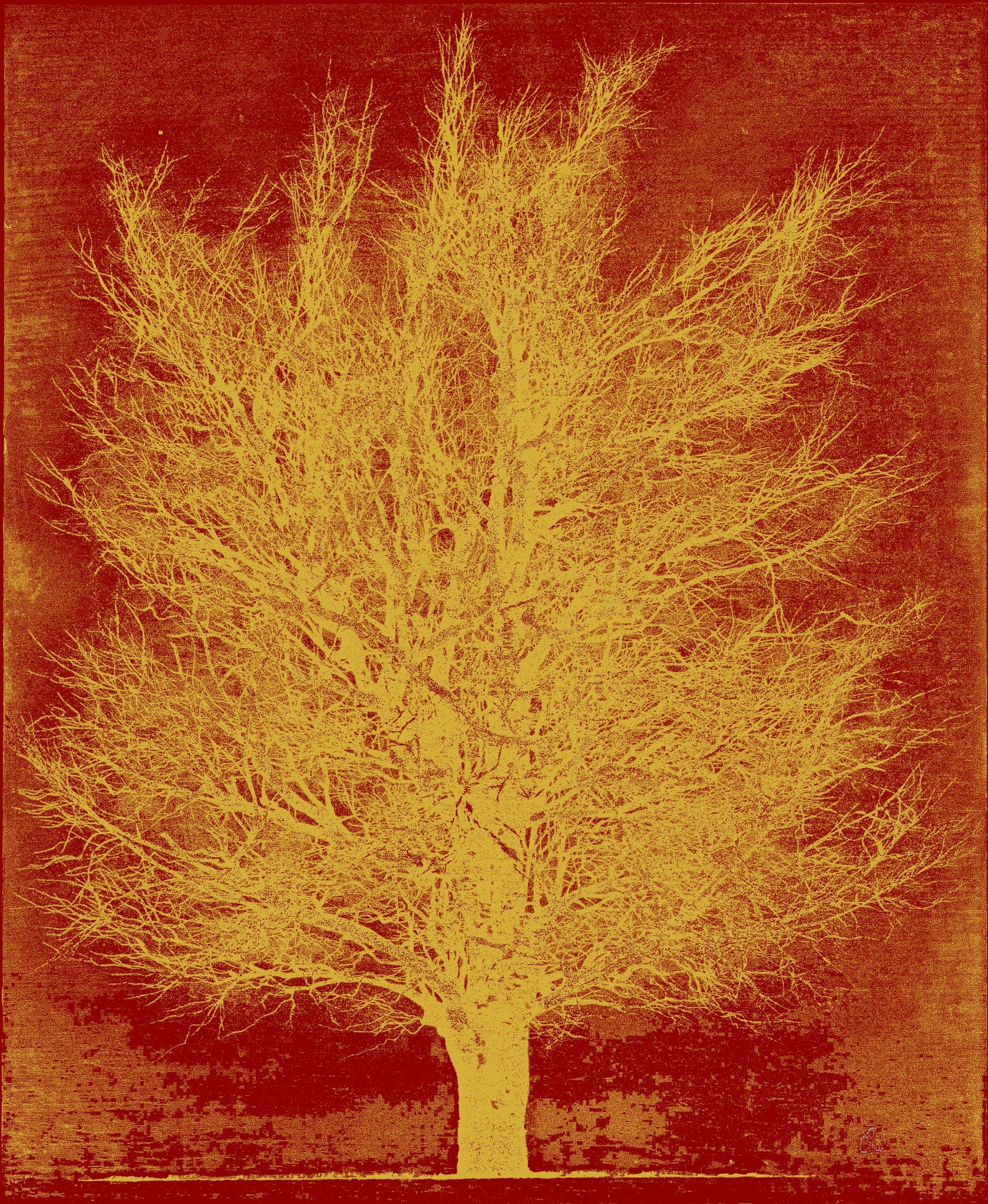Joichi Hoshi — Gold Tree | Sosaku-hanga Print