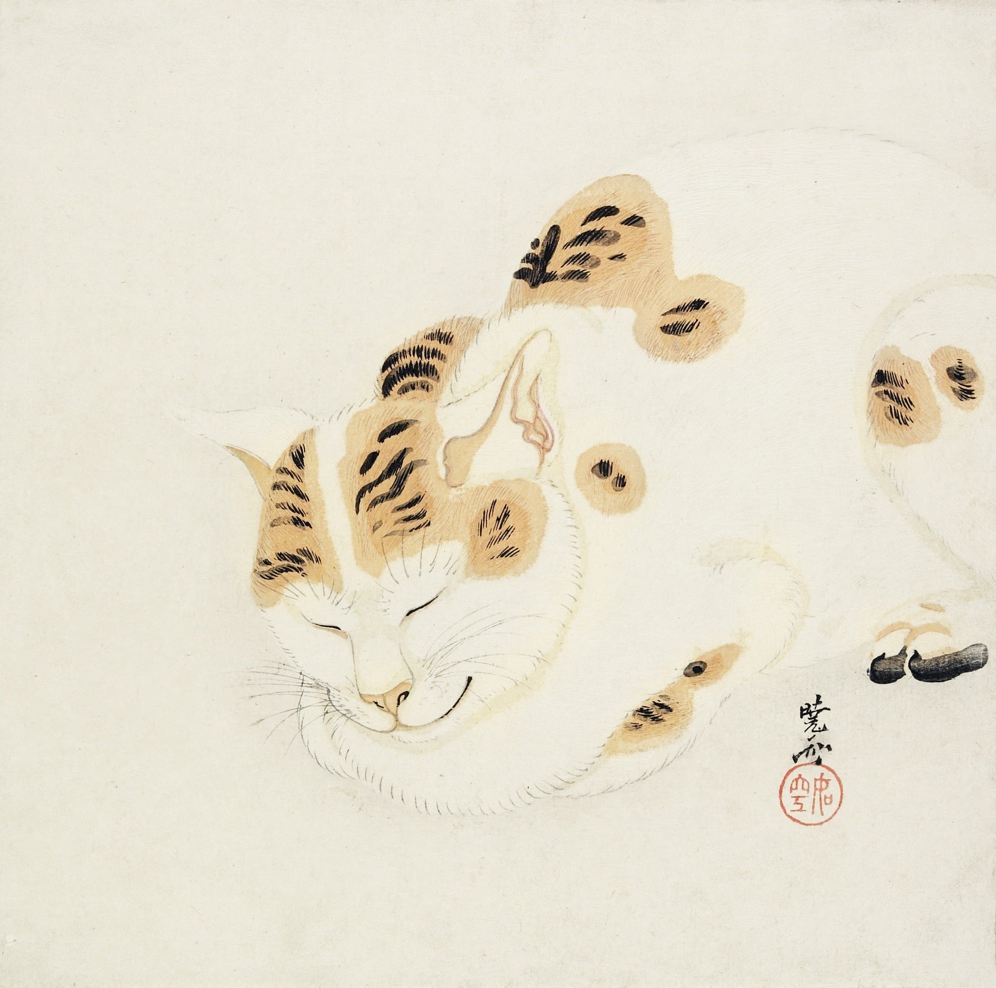 Kawanabe Kyōsai — Sleeping Cat | Meiji Ink Painting
