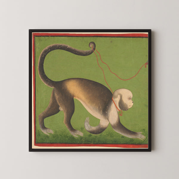 Stipple Master (attributed) — A Monumental Portrait of a Monkey | Indian Miniature Painting Print