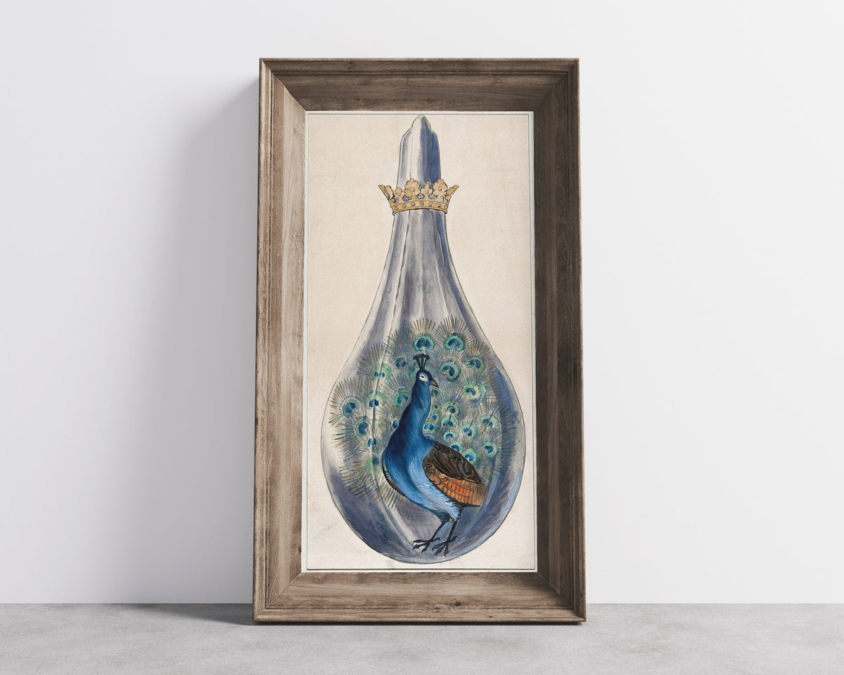 Splendor Solis — A Peacock in a Crowned Alchemical Flask | Illuminated Manuscript Print
