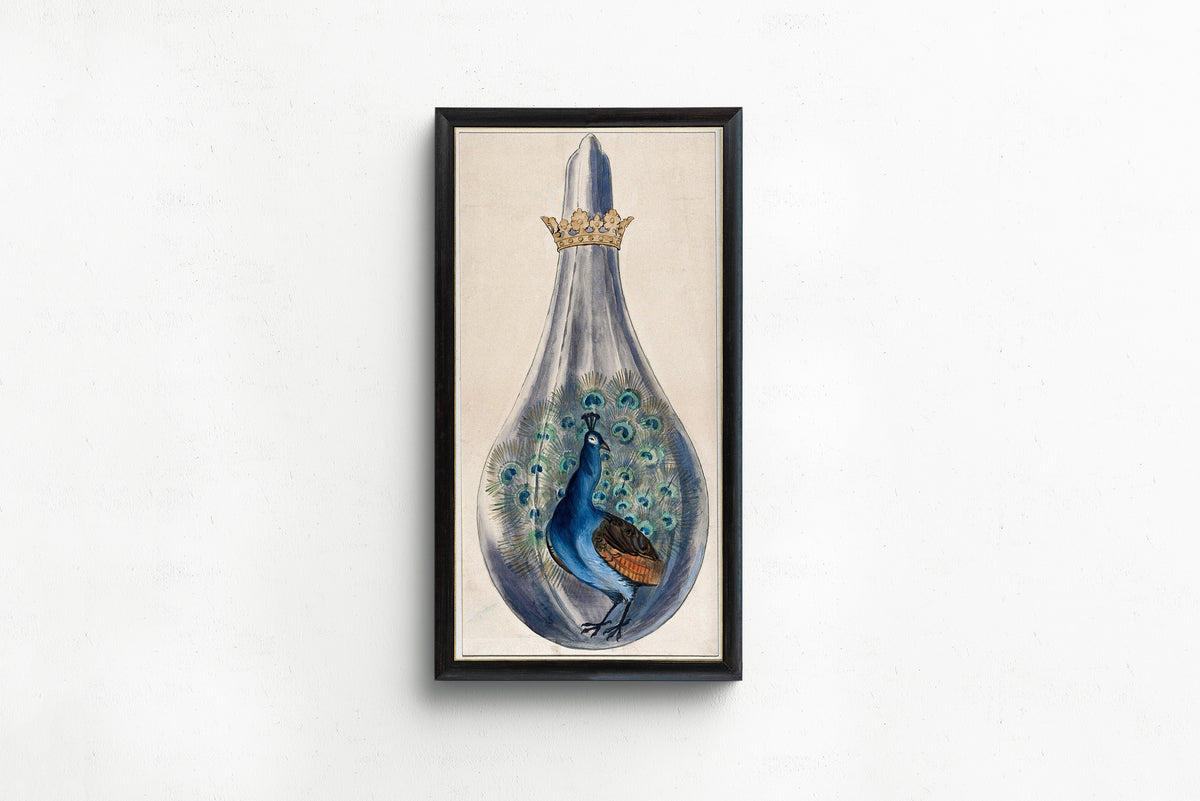 Splendor Solis — A Peacock in a Crowned Alchemical Flask | Illuminated Manuscript Print
