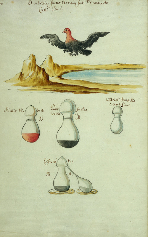 A Red-Headed Bird over a Lake, above Three Flasks by Thesaurus Thesaurorum — A red-headed bird in flight over a rocky lake shore, above four flasks