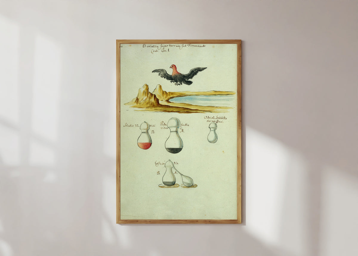 Framed art print of A Red-Headed Bird over a Lake, above Three Flasks by Thesaurus Thesaurorum, in a light wood frame on a sunlit white wall