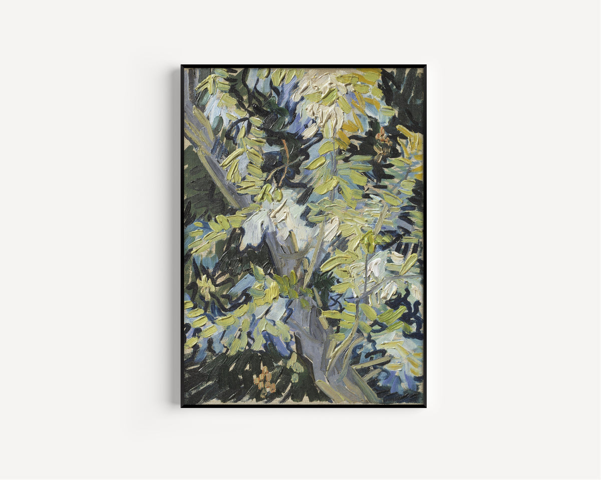 Vincent van Gogh — Acacia in Flowers | Fine Art Print