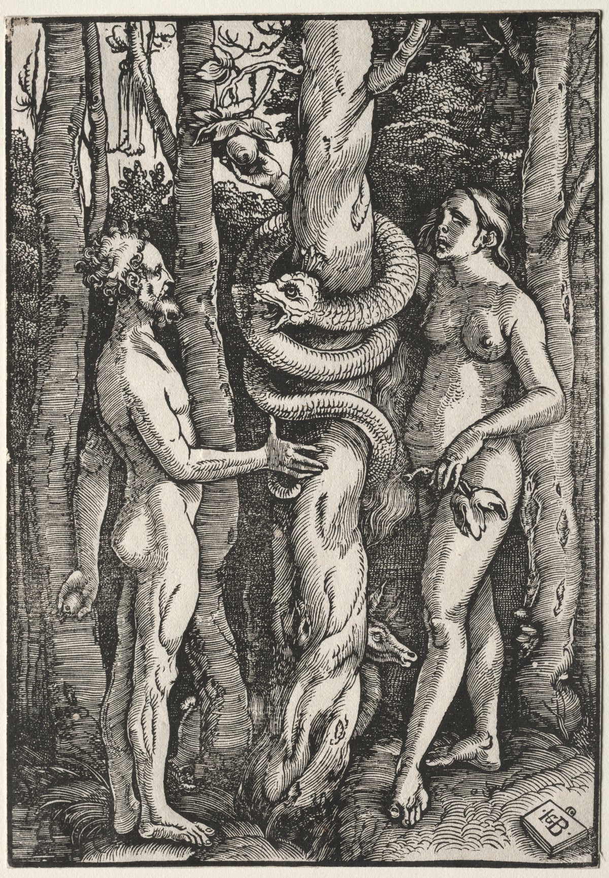 Adam and Eve (1514) by Hans Baldung Grien — A monstrous serpent coils the tree between Adam and Eve in a dark wood