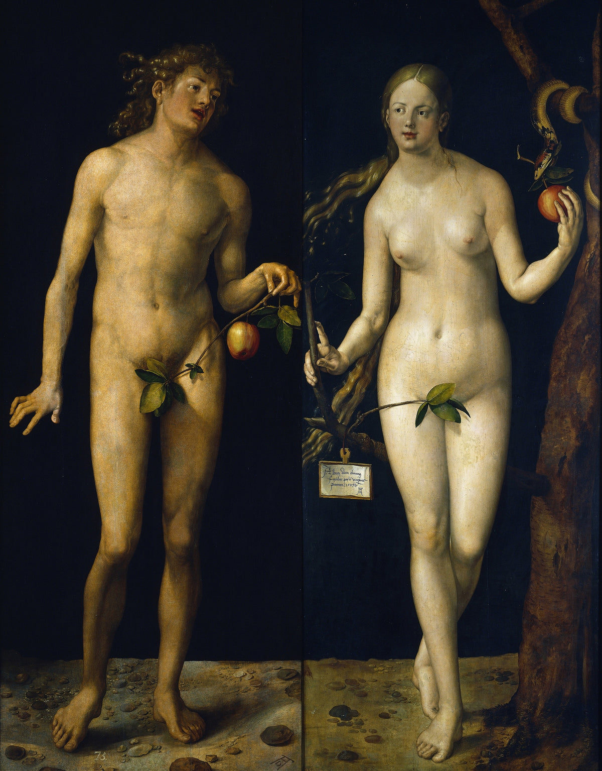Adam and Eve (Painting) by Albrecht Dürer — Adam and Eve stand side by side against black, each holding an apple
