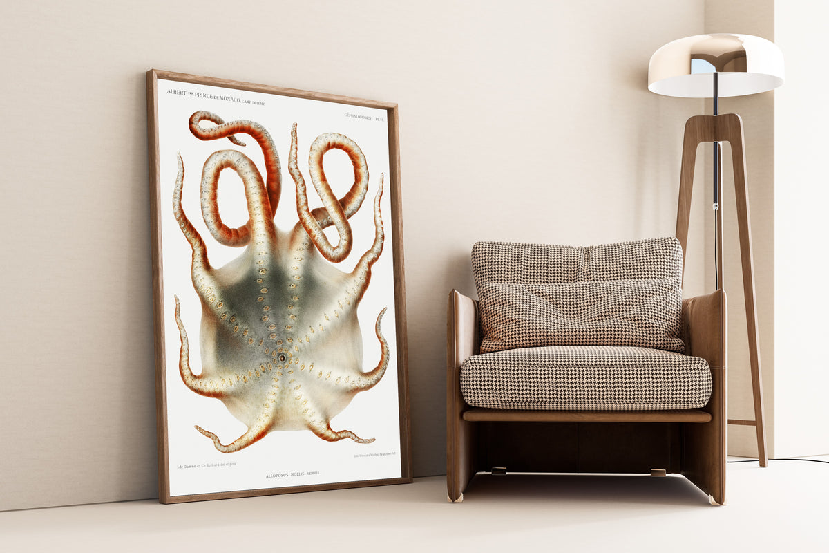 Jules de Guerne & Ch. Richard — Alloposus mollis | Scientific Illustration Print