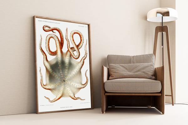 Jules de Guerne & Ch. Richard — Alloposus mollis | Scientific Illustration Print