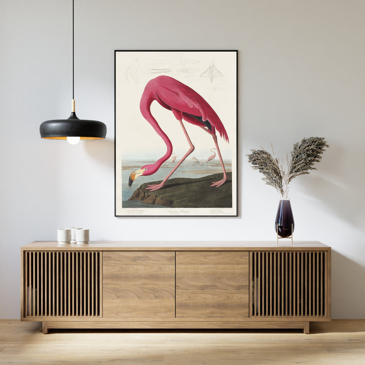 John James Audubon — American Flamingo | Natural History Print