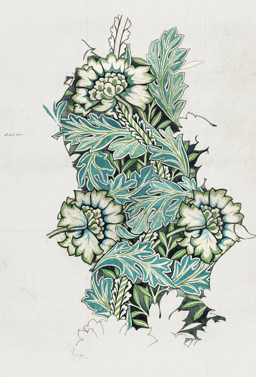 Anemone (Design Drawing) by William Morris — Three cream flowers among teal leaves, painted on bare paper