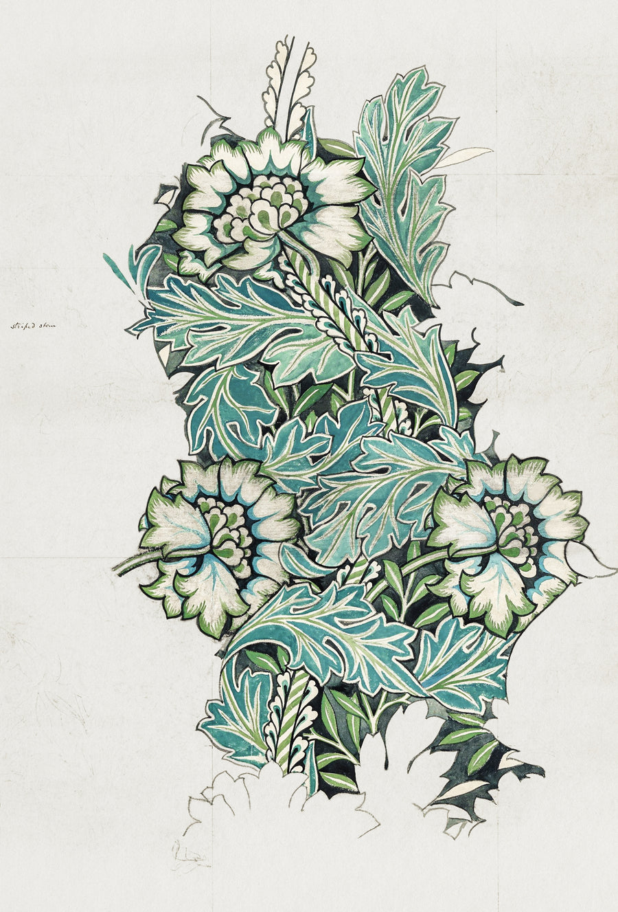 William Morris — Anemone (Design Drawing) | Botanical Art Print shown to scale on a wall above a sofa