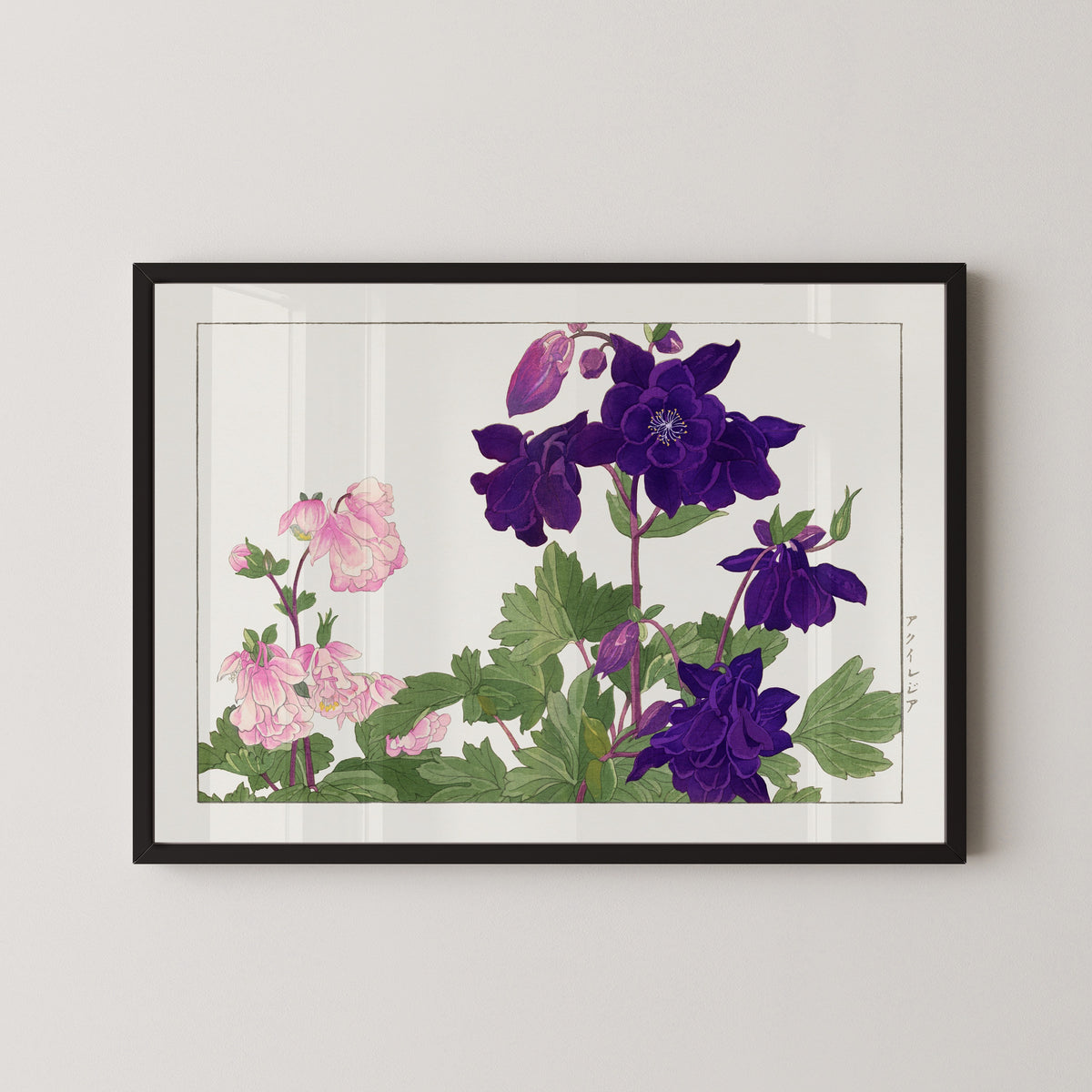 Tanigami Kōnan — Aquilegia flower | Japanese Botanical Woodblock Print