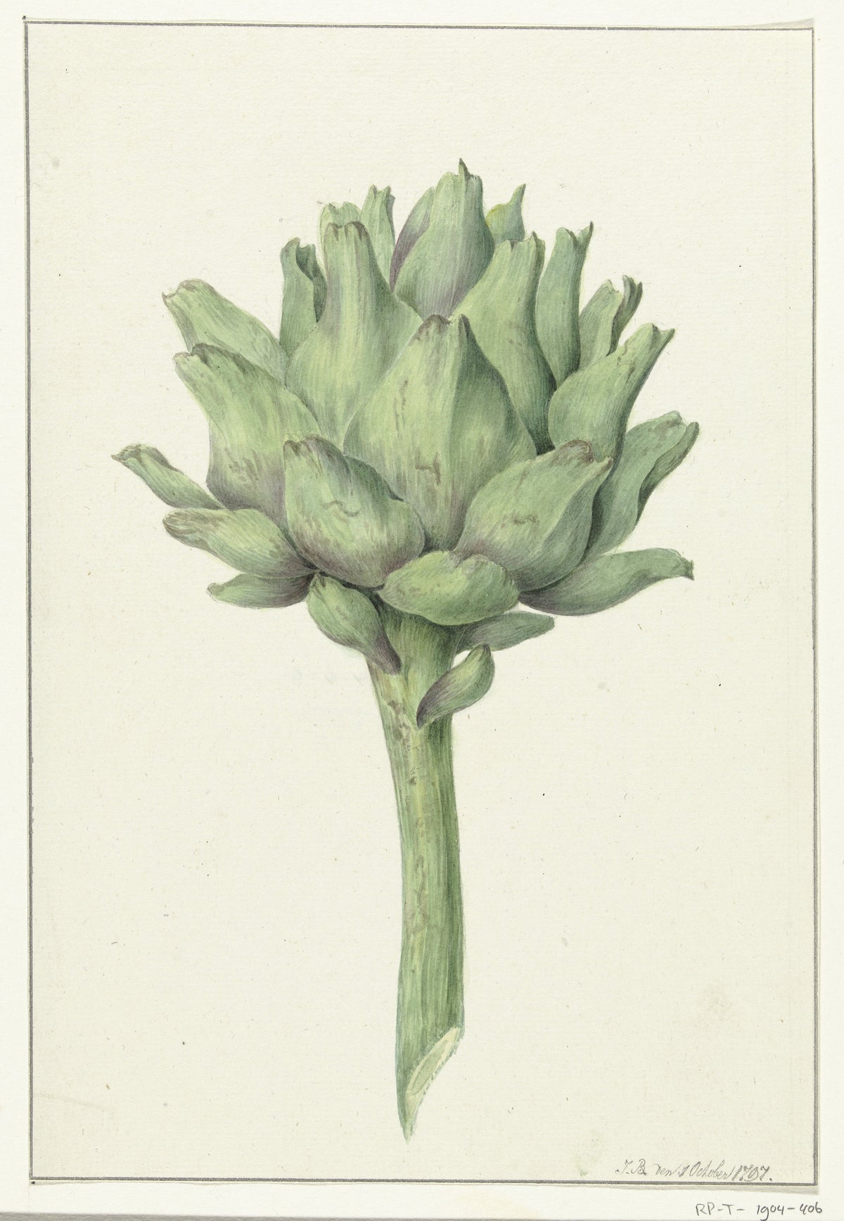 Jean Bernard — Artisjok (Artichoke) | Botanical Illustration Print