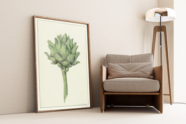 Jean Bernard — Artisjok (Artichoke) | Botanical Illustration Print