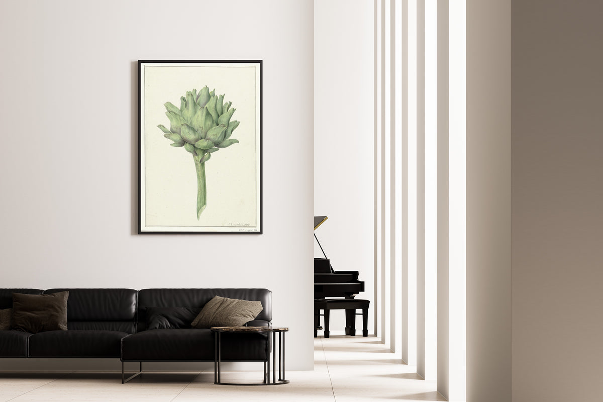 Jean Bernard — Artisjok (Artichoke) | Botanical Illustration Print