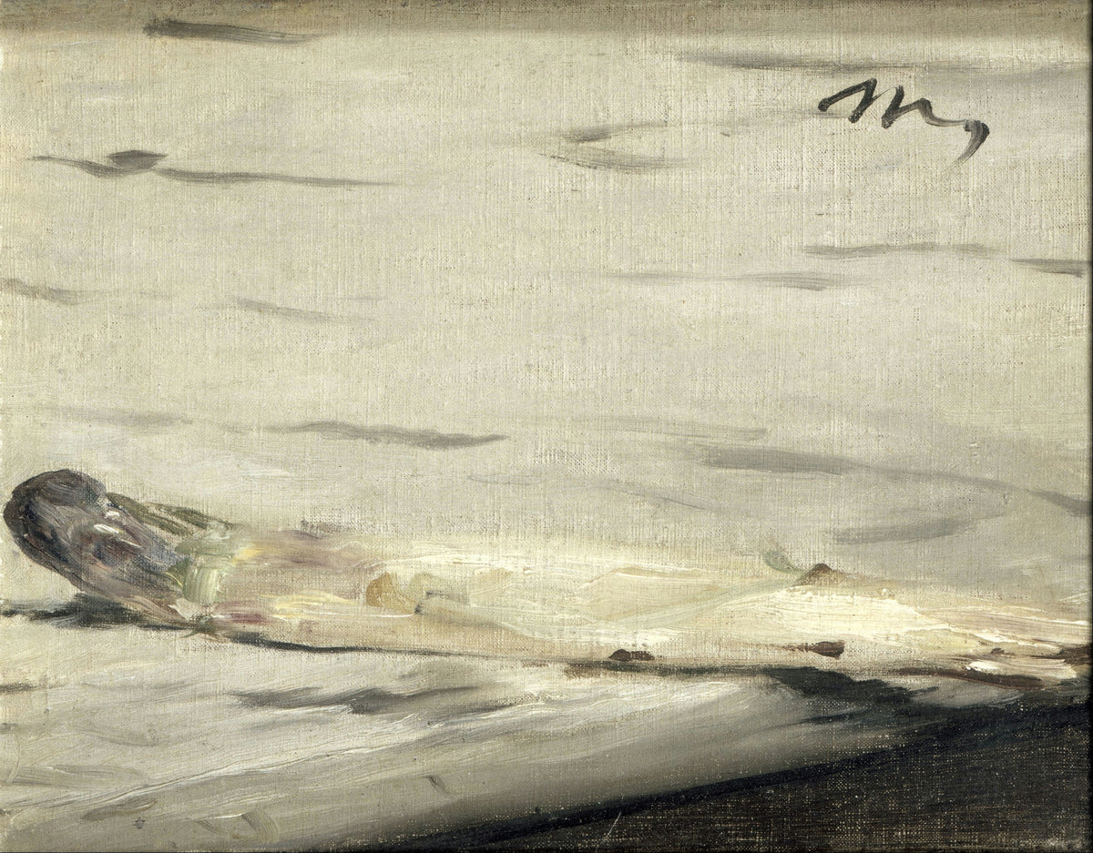 Asparagus by Édouard Manet — A single white asparagus spear lies on the edge of a marble table