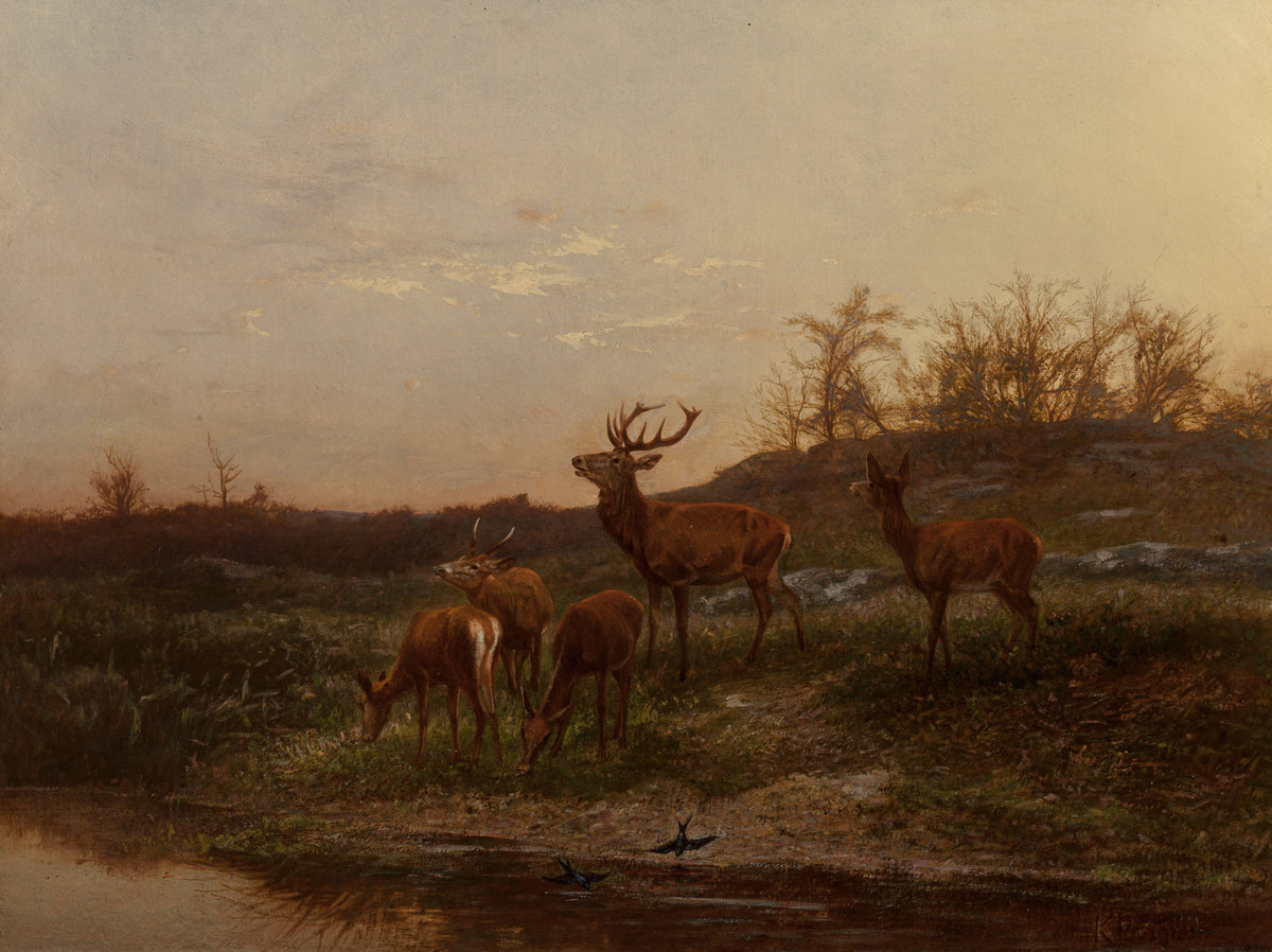 Karl Bodmer — At the Watering Hole | Fine Art Print