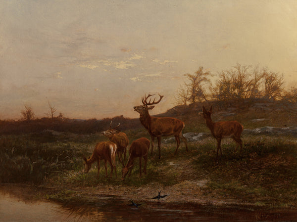 Karl Bodmer — At the Watering Hole | Fine Art Print