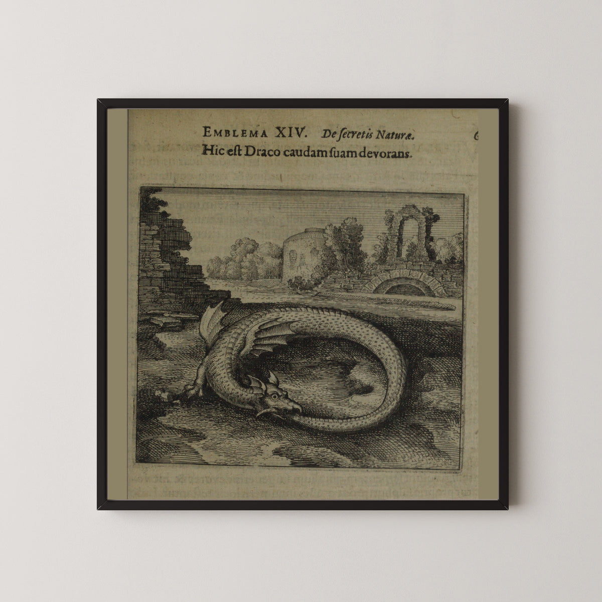 Michael Maier — Atalanta Fugiens, Emblem 14: This Is the Dragon That Devours Its Own Tail | Alchemical Engraving Print
