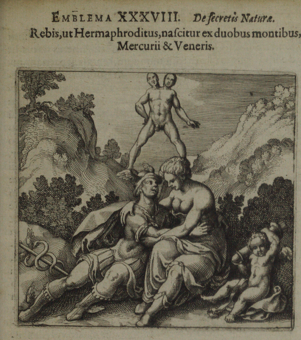 Michael Maier — Atalanta Fugiens, Emblem 38: The Rebis Is Born Like the Hermaphrodite | Alchemical Engraving Print