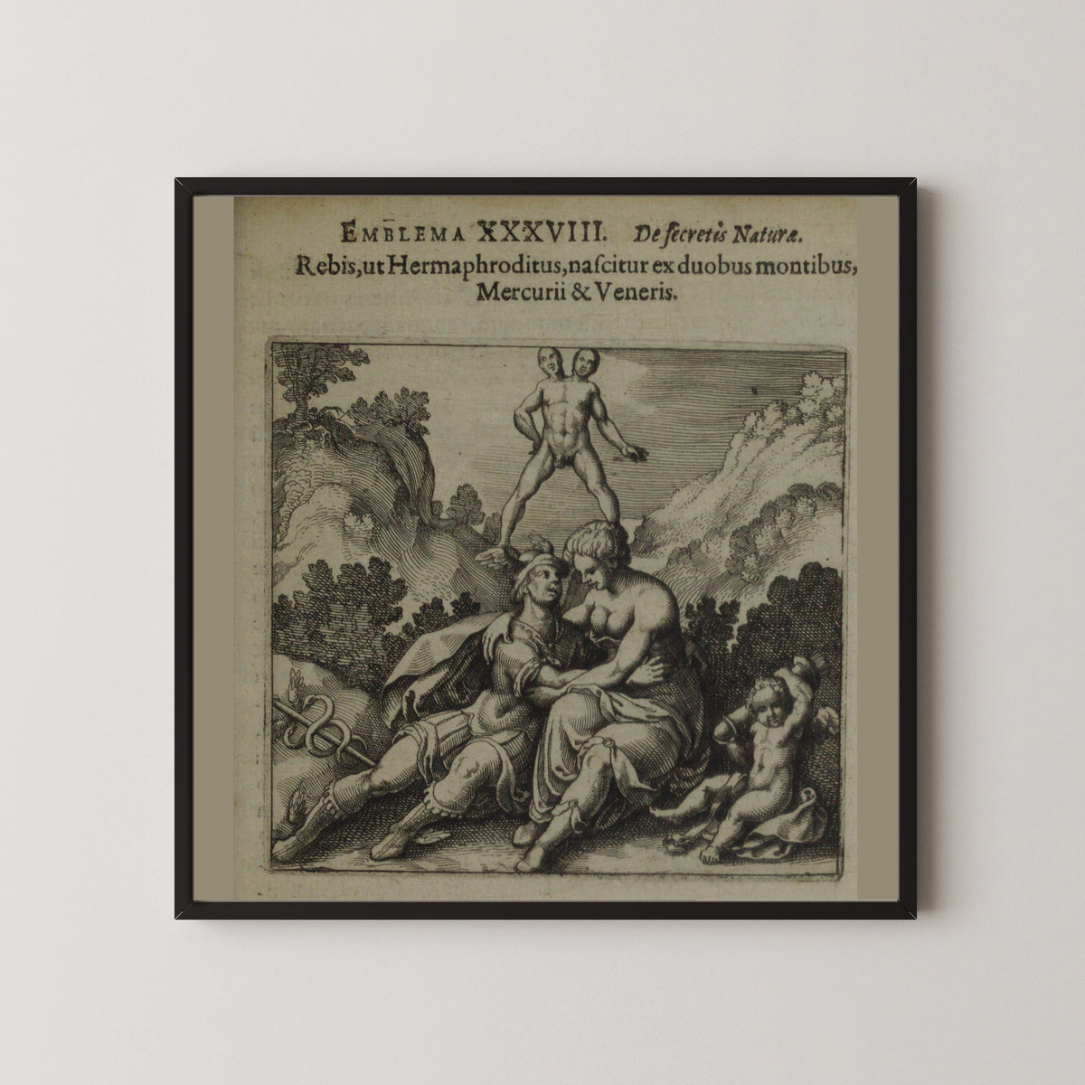 Michael Maier — Atalanta Fugiens, Emblem 38: The Rebis Is Born Like the Hermaphrodite | Alchemical Engraving Print