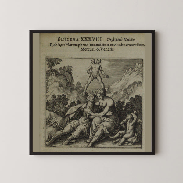 Michael Maier — Atalanta Fugiens, Emblem 38: The Rebis Is Born Like the Hermaphrodite | Alchemical Engraving Print