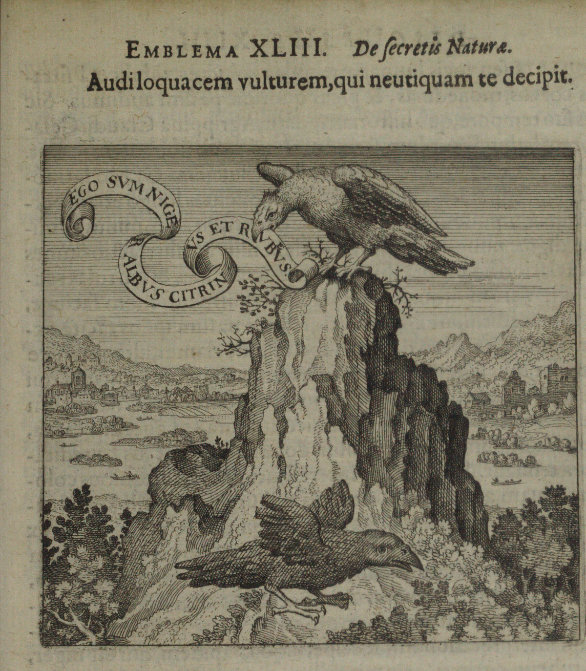Michael Maier — Atalanta Fugiens, Emblem 43: Listen to the Talkative Vulture, Who Does Not Deceive You | Alchemical Engraving Print