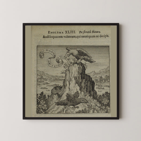 Michael Maier — Atalanta Fugiens, Emblem 43: Listen to the Talkative Vulture, Who Does Not Deceive You | Alchemical Engraving Print