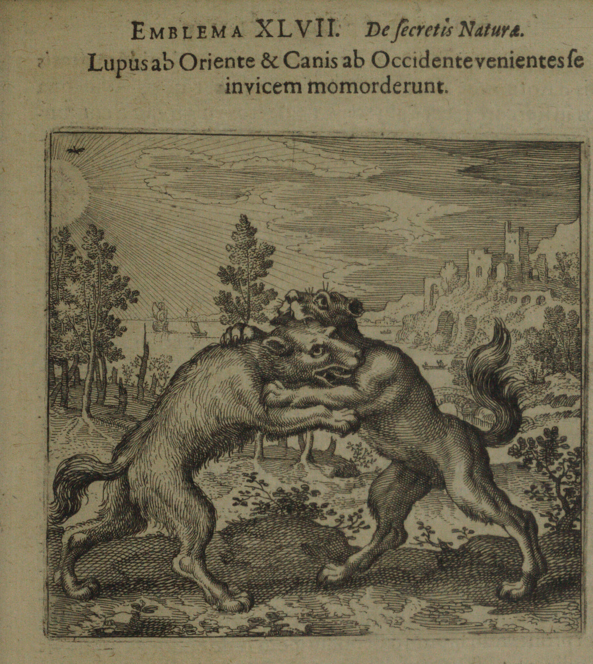 Michael Maier — Atalanta Fugiens, Emblem 47: A Wolf Coming from the East and a Dog from the West Bit One Another | Alchemical Engraving Print