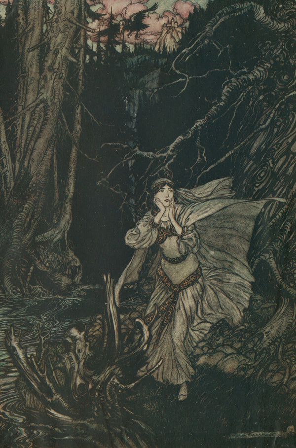 Arthur Rackham — Bertalda in the Black Valley | Fairy Tale Illustration Print