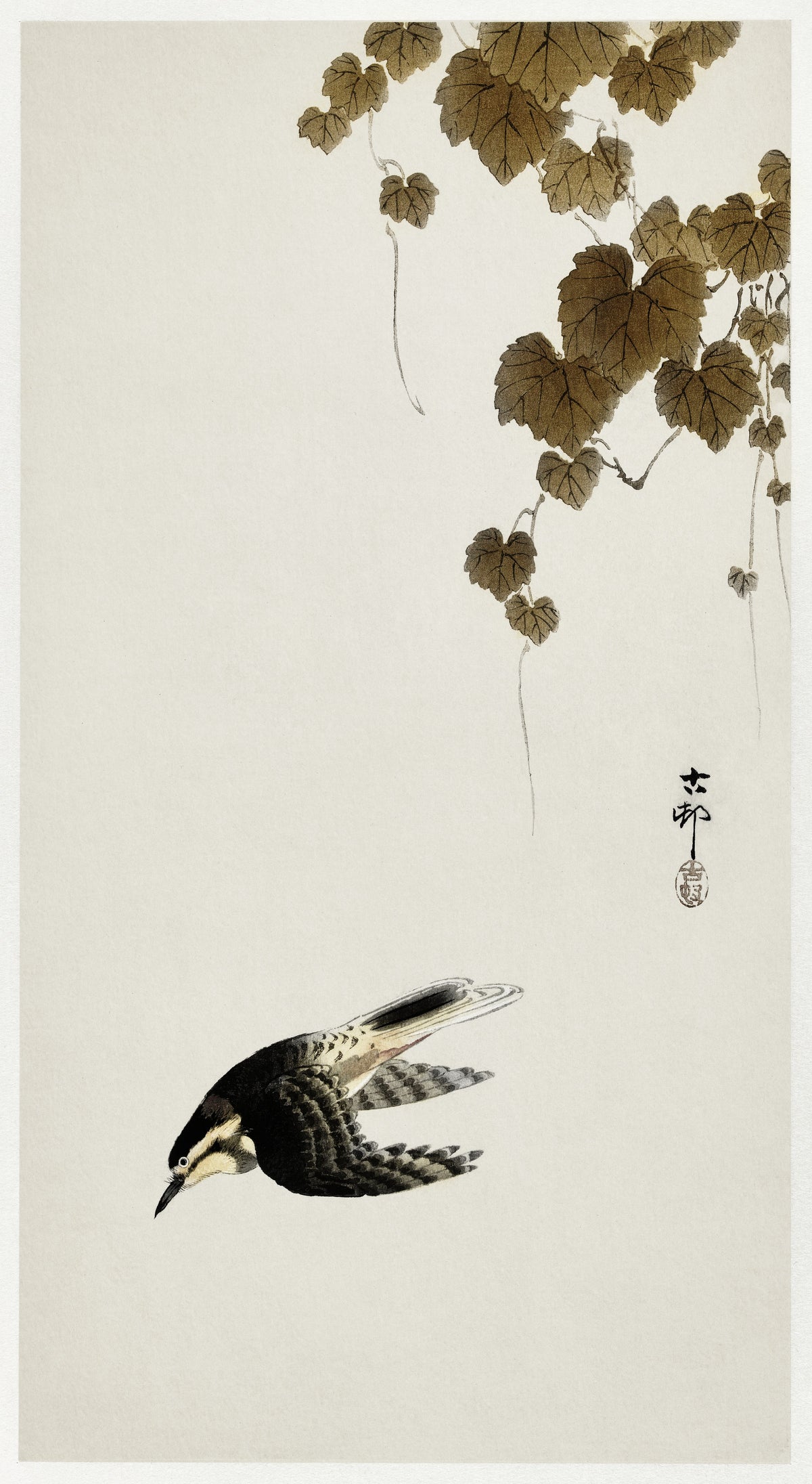 Bird in Downward Flight by Ohara Koson — A bird dives head-first beneath a hanging vine